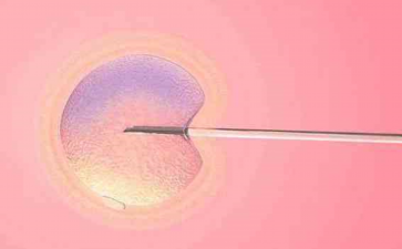 赵小侨自曝试管婴儿经历：20针取卵13颗，仅3颗成功，植入皆失败